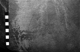 NMSA 03 4461P