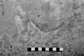 NMSA 03 6128P