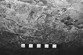 NMSA 03 4073P