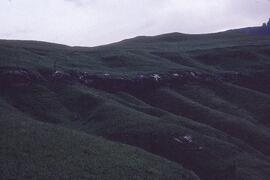 RSA INJ5 1