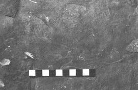 NMSA 03 2538P