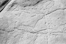 NMSA 03 7923P