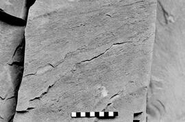 NMSA 03 3756P