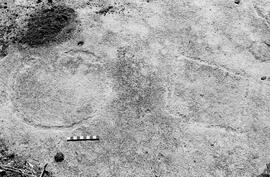 NMSA 03 7634P
