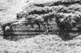 NMSA 03 1302P