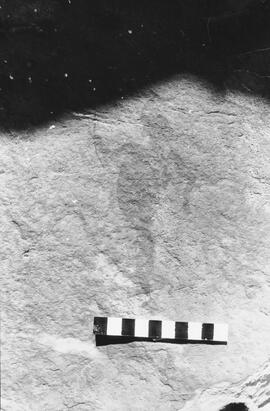 NMSA 03 834P
