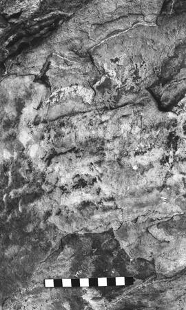 NMSA 03 2733P