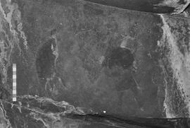 NMSA 03 6017P