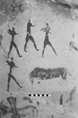 NMSA 03 5370P