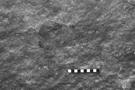 NMSA 03 2377P