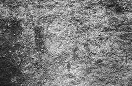 NMSA 03 8431P