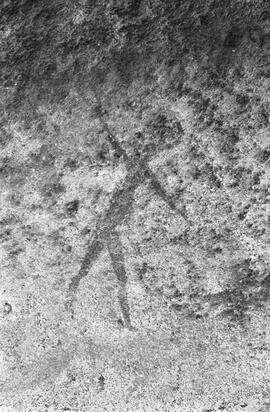 NMSA 03 51N