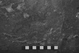 NMSA 03 6095P