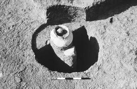 NMSA 03 730P