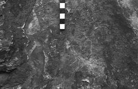 NMSA 03 3024P