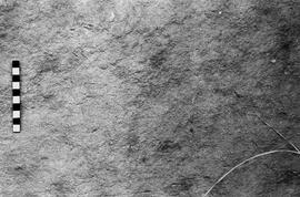 NMSA 03 5797P