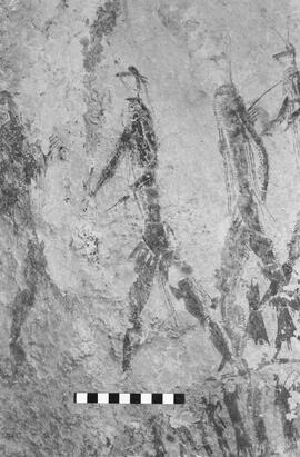 NMSA 03 1942P