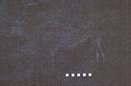 RSA CAN1 7