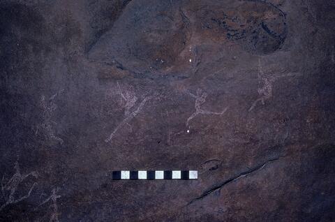 Open original Digitaal object