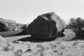 NMSA 03 5639P
