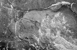 NMSA 03 8389P
