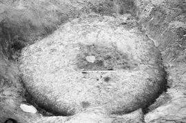 NMSA 03 8043P