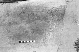 NMSA 03 1572P