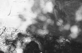 NMSA 03 2803P