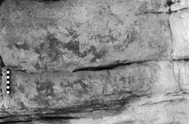 NMSA 03 8766P