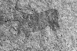 NMSA 03 358P