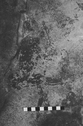 NMSA 03 5247P