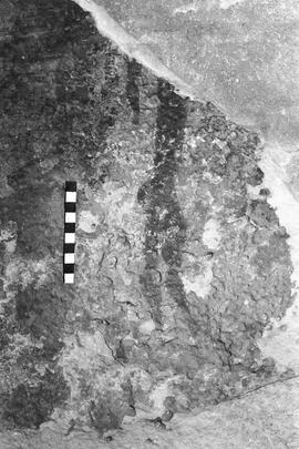 NMSA 03 4250P