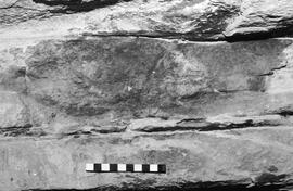 NMSA 03 6000P