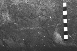 NMSA 03 5770P