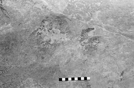 NMSA 03 5309P