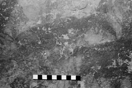NMSA 03 5286P