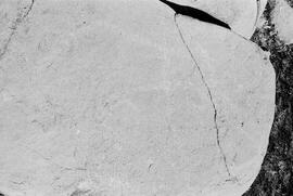 NMSA 03 8125P