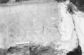NMSA 03 1381P
