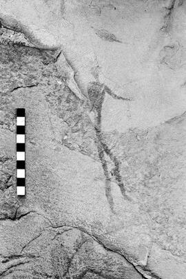 NMSA 03 4015P