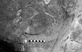 NMSA 03 3794P