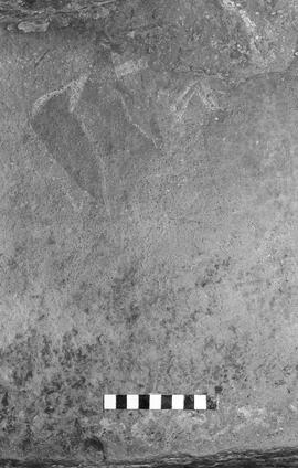 NMSA 03 1349P