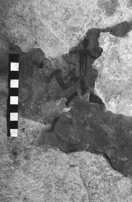 NMSA 03 4262P