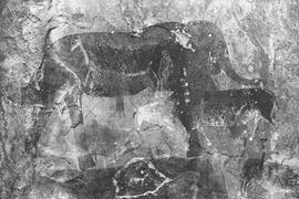NMSA 03 7808P