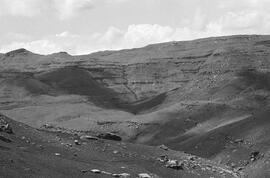 NMSA 03 6557P