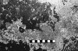NMSA 03 4624P