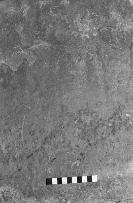 NMSA 03 1345P