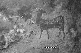NMSA 03 6109P