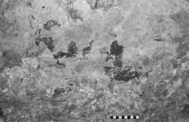 NMSA 03 6137P