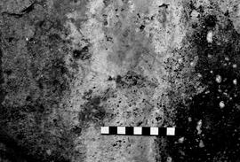 NMSA 03 4201P