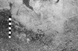 NMSA 03 4558P